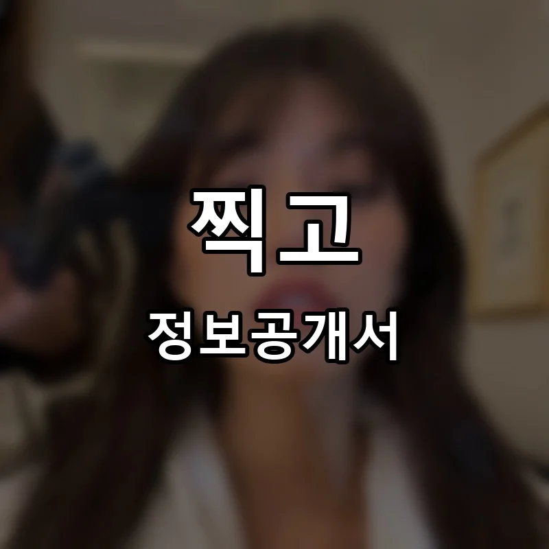 찍고 프랜차이즈 창업 비용 정보공개서 요약