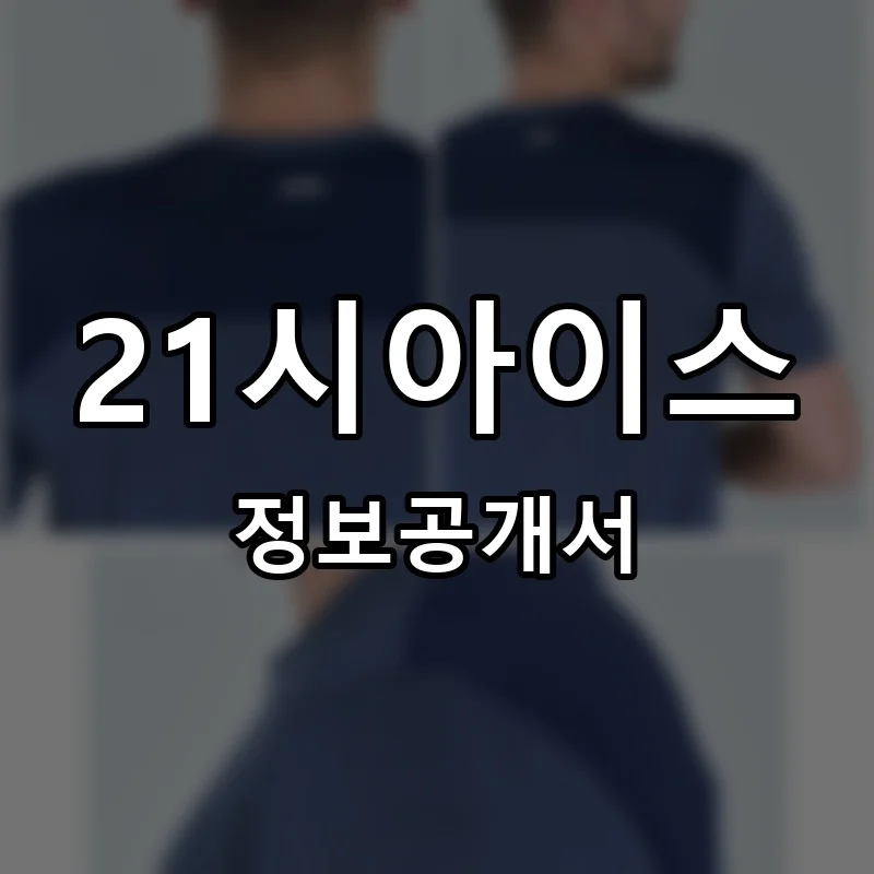 21시아이스 창업 프랜차이즈 정보공개서 요약 2026.04.21