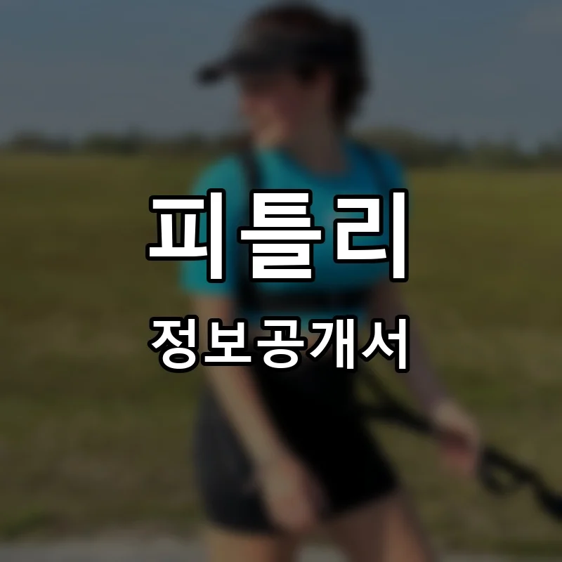 피틀리(fitly) 프랜차이즈 정보공개서