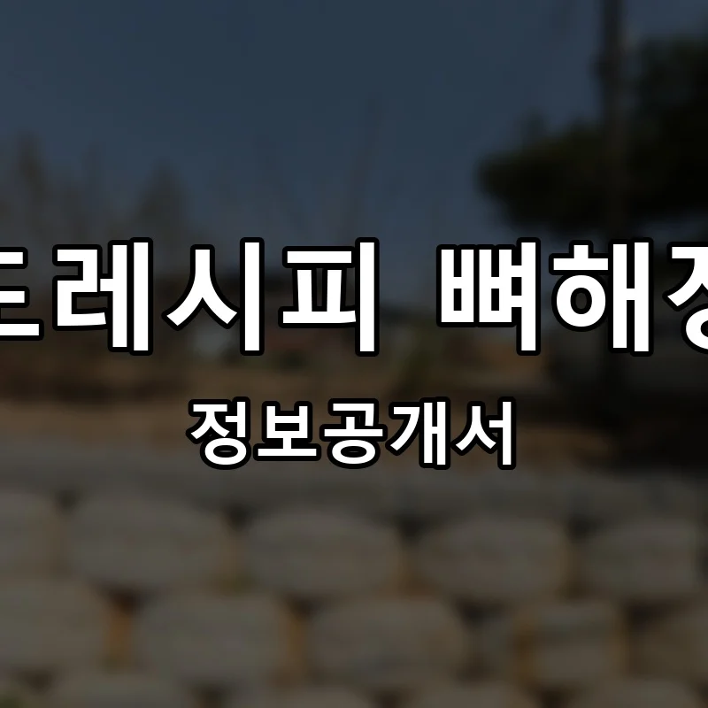 도도레시피 뼈해장국 프랜차이즈 창업 비용 정보공개서 요약
