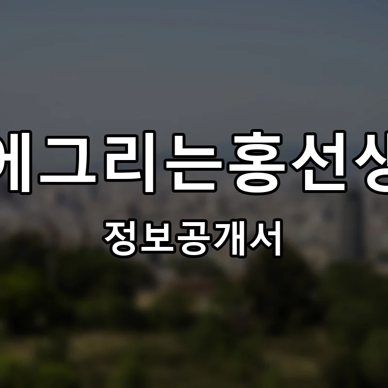 머리에그리는홍선생미술 프랜차이즈 창업 비용 정보공개서 요약