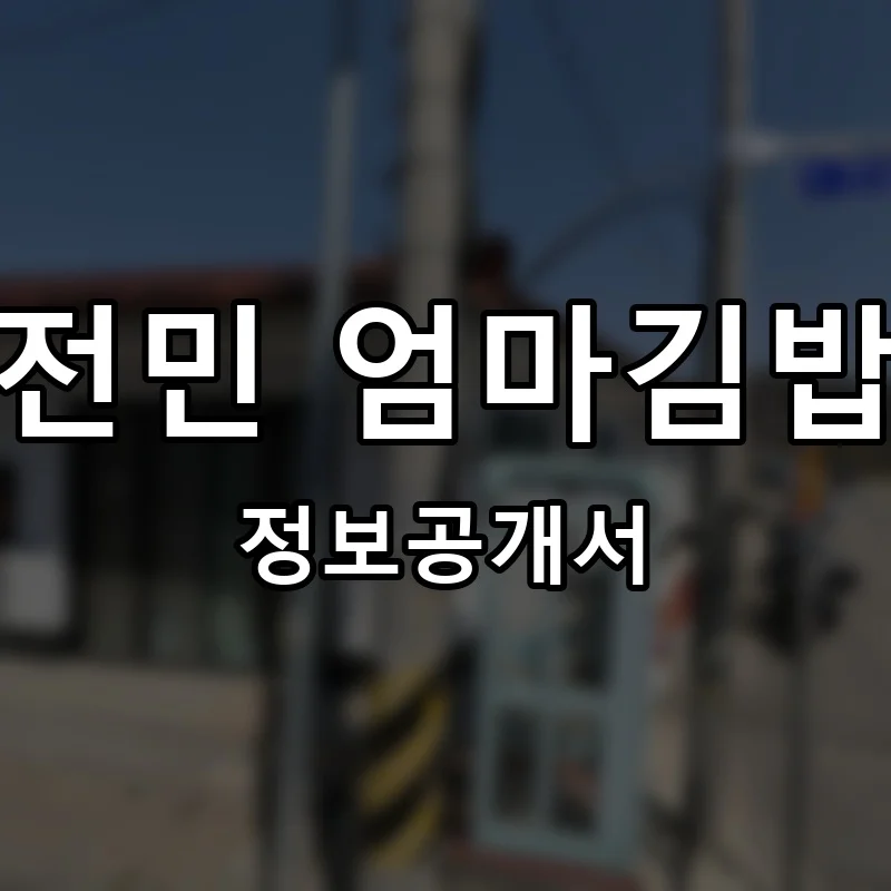 전민 엄마김밥 프랜차이즈 창업 비용 정보공개서 요약