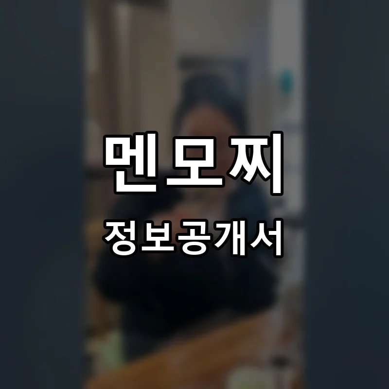 멘모찌 창업 프랜차이즈 정보공개서 요약 2026.03.25