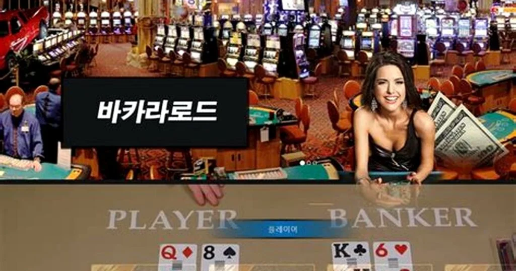 강원 한파, 알고 보니 숨겨진 진실이 있었다!
