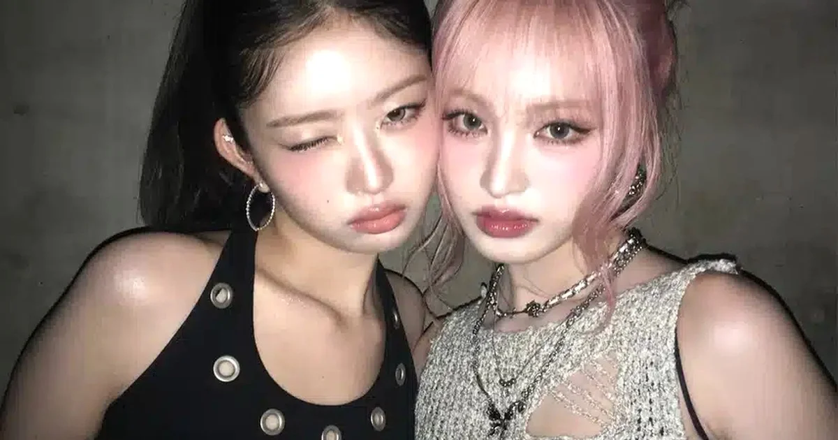 3가지 쟁점, 결국 터졌다! 진짜 다이소를 향한 대중의 열광