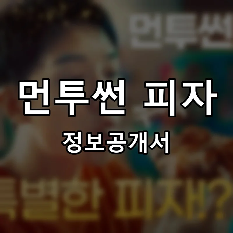 먼투썬 피자 프랜차이즈 창업 비용 정보공개서 요약