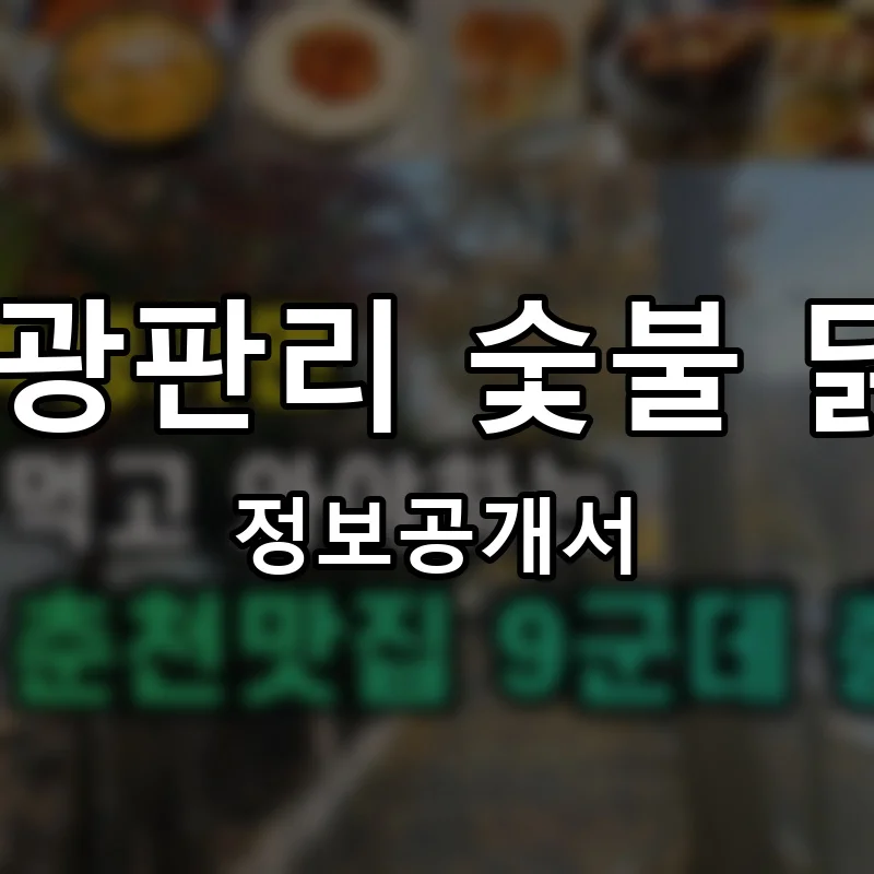 춘천 광판리 숯불 닭갈비 프랜차이즈 창업 비용 정보공개서 요약