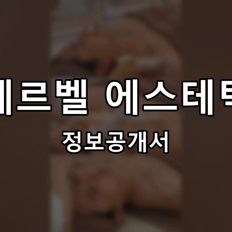 에르벨 에스테틱 프랜차이즈 창업 비용 정보공개서 요약