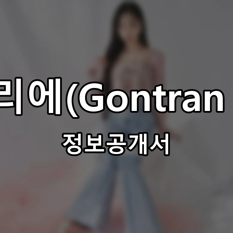 곤트란쉐리에(Gontran Cherrier) 프랜차이즈 정보공개서