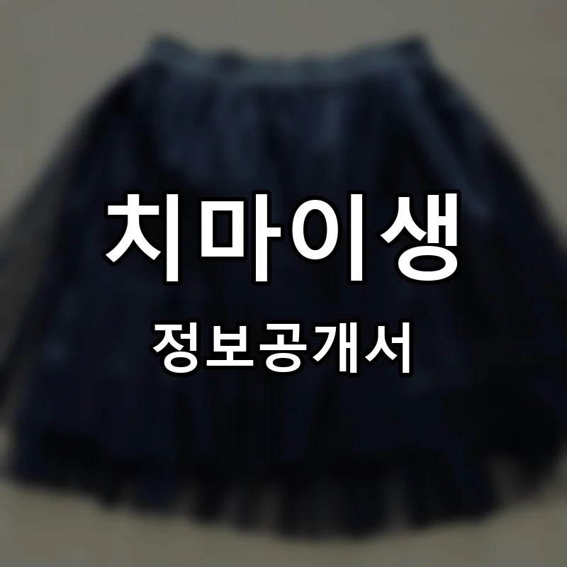 치마이생 프랜차이즈 창업 비용 정보공개서 요약