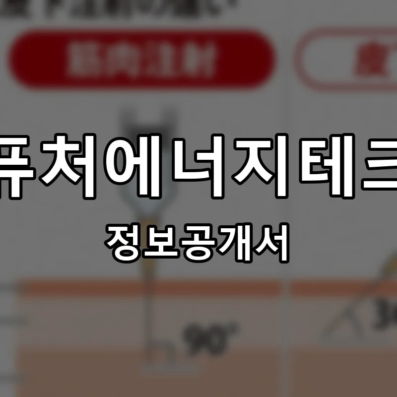 퓨처에너지테크 프랜차이즈 정보공개서