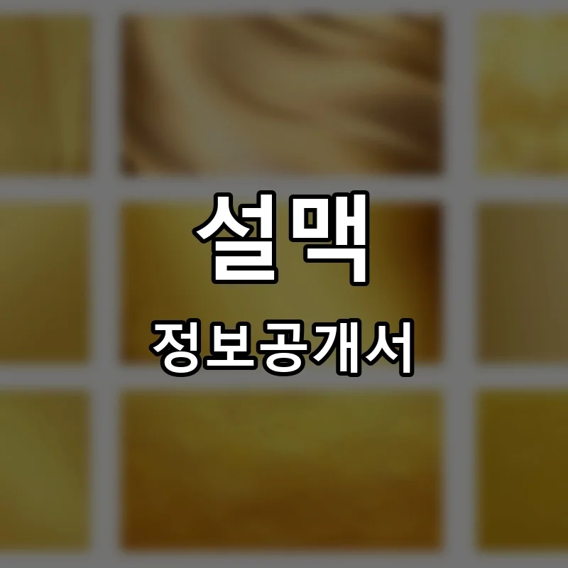 설맥(SEOL MAC) 프랜차이즈 창업 비용 정보공개서 요약