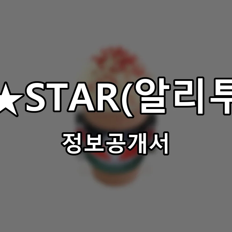 ALI★TOGO★STAR(알리투고스타)커피 창업 프랜차이즈 정보공개서 요약 2026.05.12