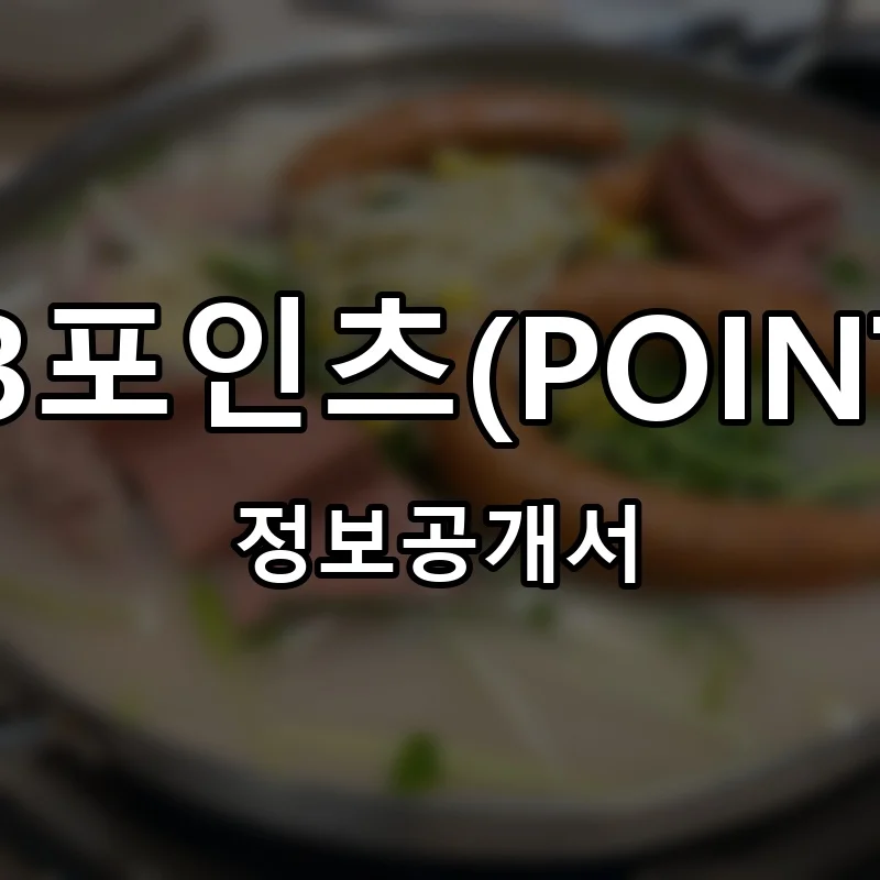 153포인츠(POINTZ) 창업 프랜차이즈 정보공개서 요약 2026.05.12