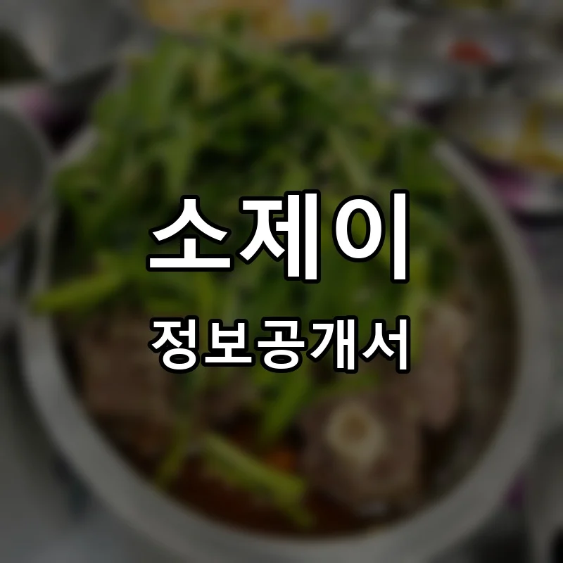 소제이 프랜차이즈 창업 비용 정보공개서 요약