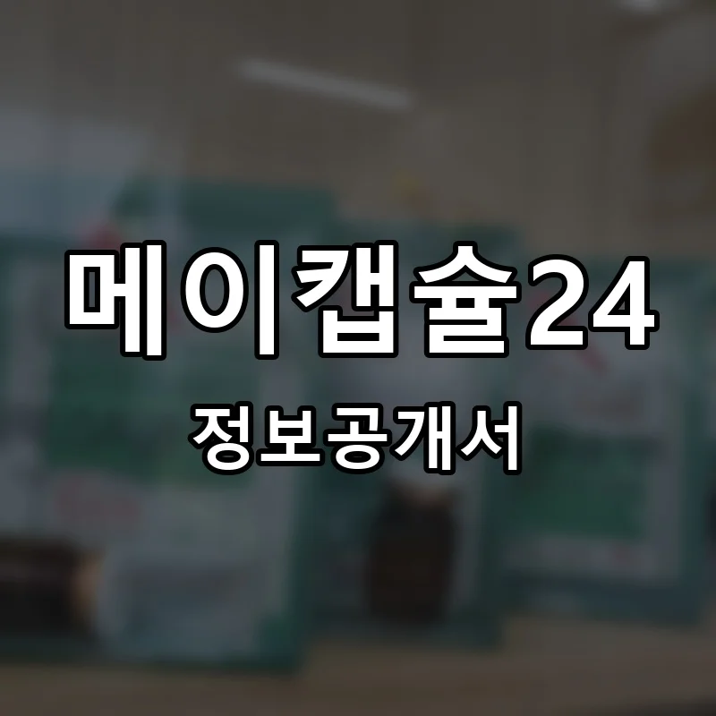 메이캡슐24 프랜차이즈 창업 비용 정보공개서 요약