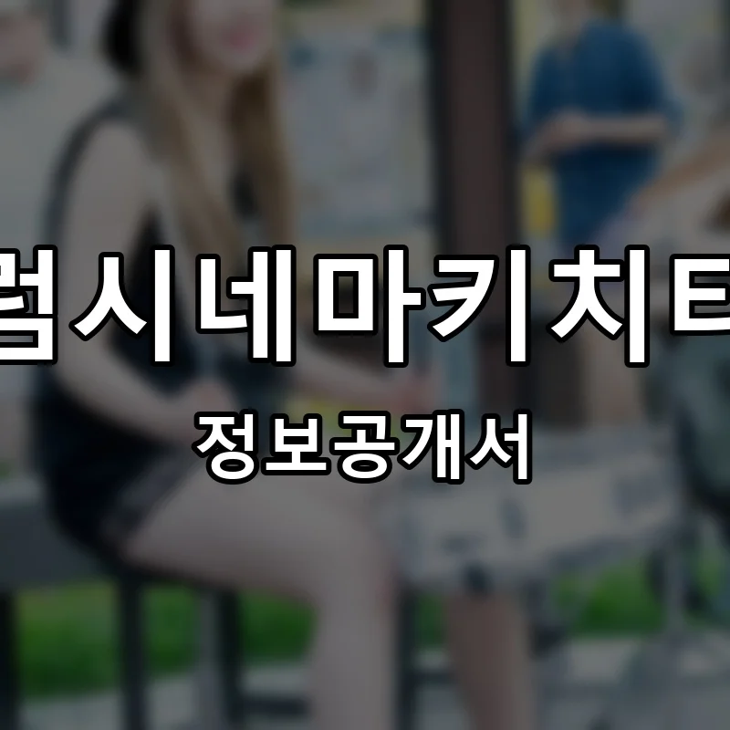 드럼시네마키치타치 프랜차이즈 창업 비용 정보공개서 요약