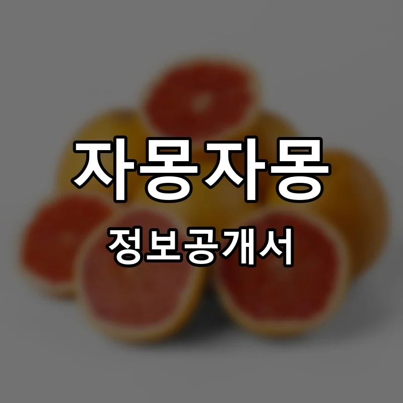 자몽자몽 창업 프랜차이즈 정보공개서 요약 2026.05.14