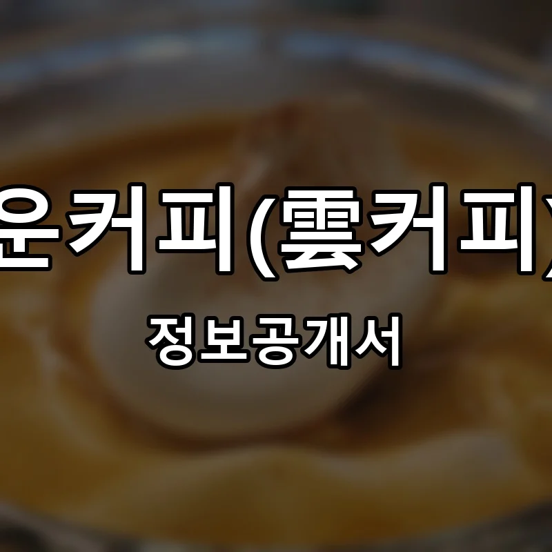 운커피(雲커피) 프랜차이즈 정보공개서