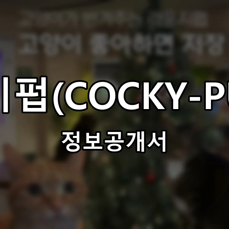 코키펍(COCKY-PUB) 프랜차이즈 정보공개서