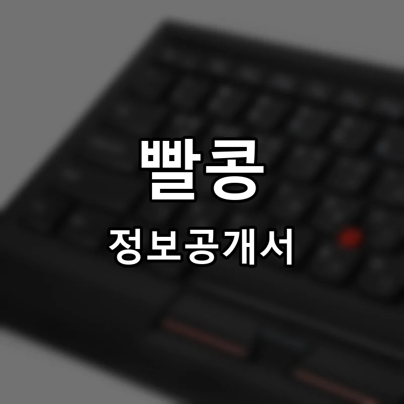 빨콩 프랜차이즈 창업 비용 정보공개서 요약