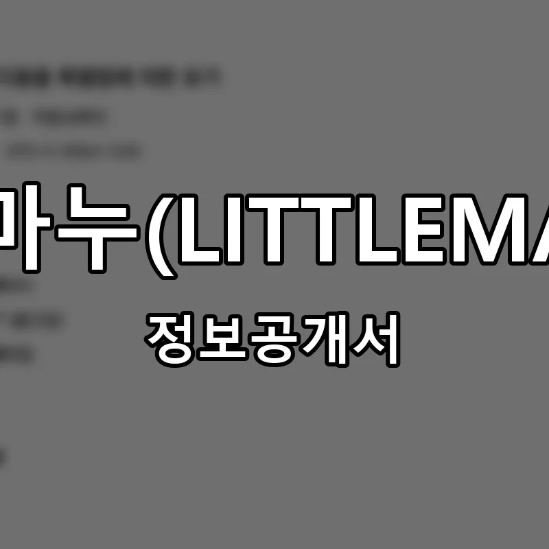 리틀마누(LITTLEMANU) 프랜차이즈 창업 비용 정보공개서 요약