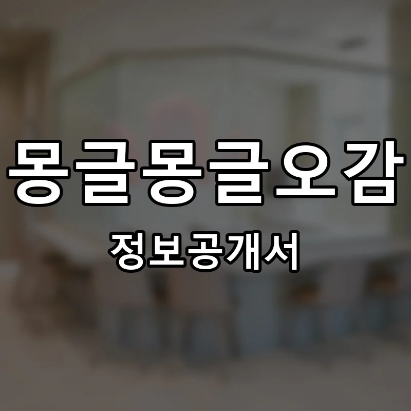 몽글몽글오감 프랜차이즈 창업 비용 정보공개서 요약