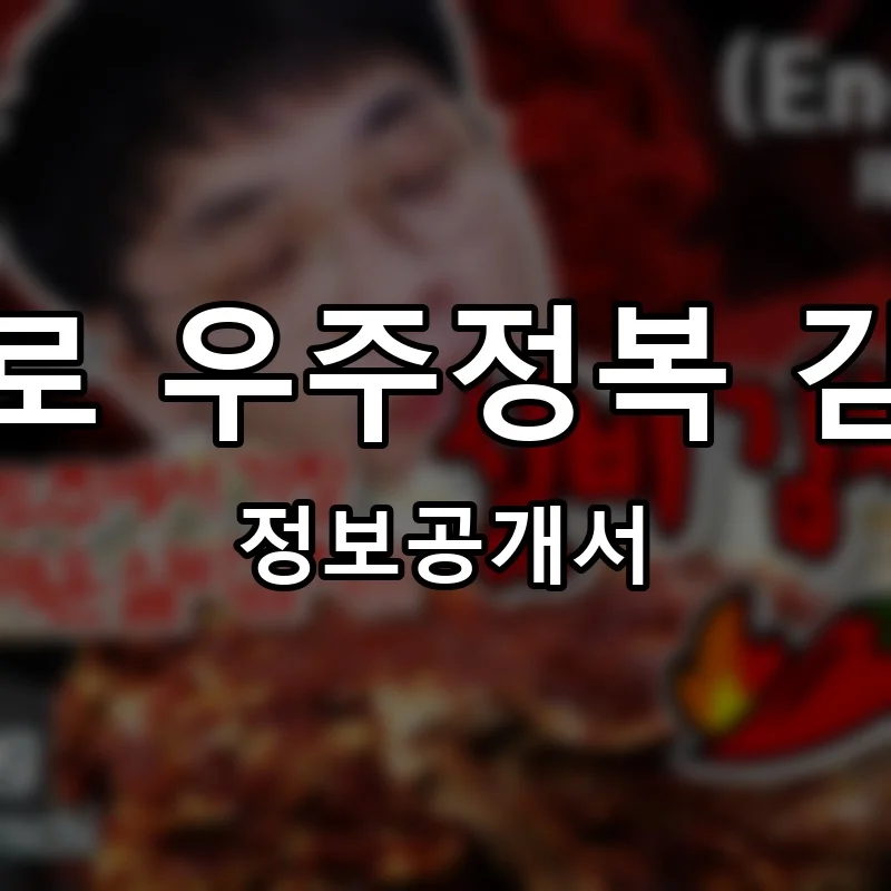 김치로 우주정복 김우정 프랜차이즈 창업 비용 정보공개서 요약