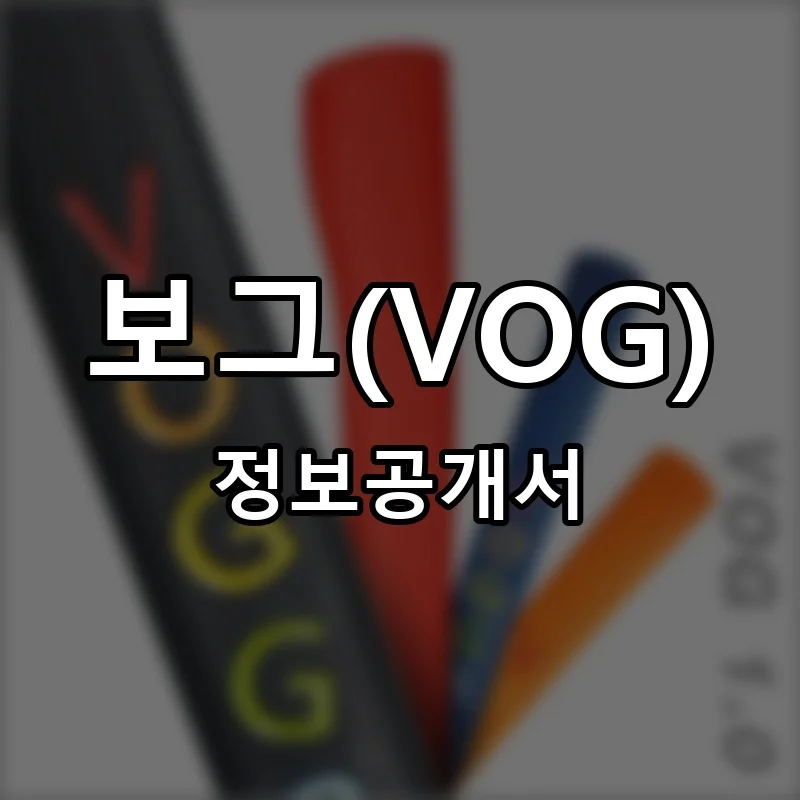 보그(VOG) 프랜차이즈 창업 비용 정보공개서 요약