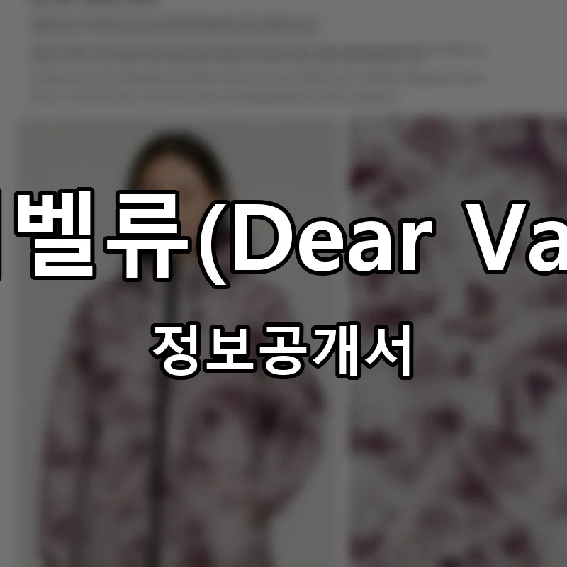 디어벨류(Dear Value) 프랜차이즈 창업 비용 정보공개서 요약