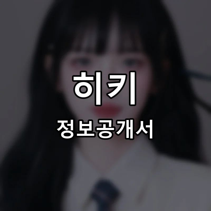 히키 프랜차이즈 정보공개서
