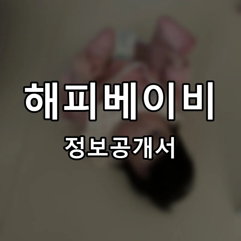 해피베이비 프랜차이즈 창업 비용 정보공개서 요약