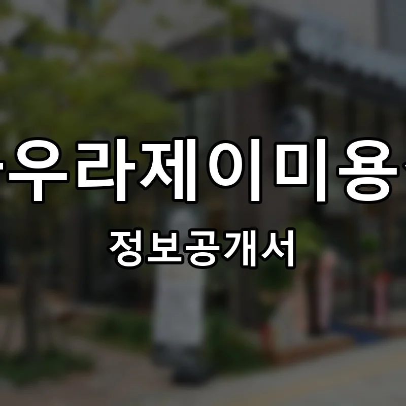 아우라제이미용실 프랜차이즈 창업 비용 정보공개서 요약