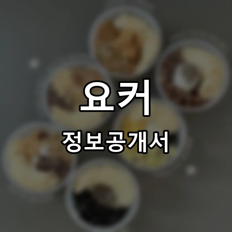 요커 프랜차이즈 창업 비용 정보공개서 요약