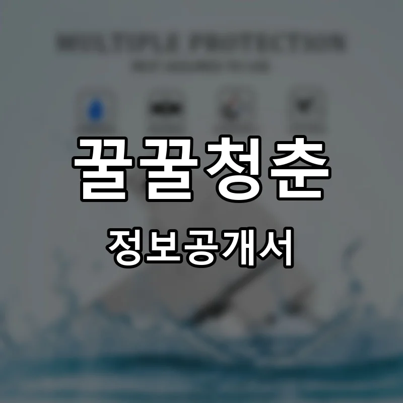 꿀꿀청춘 프랜차이즈 창업 비용 정보공개서 요약