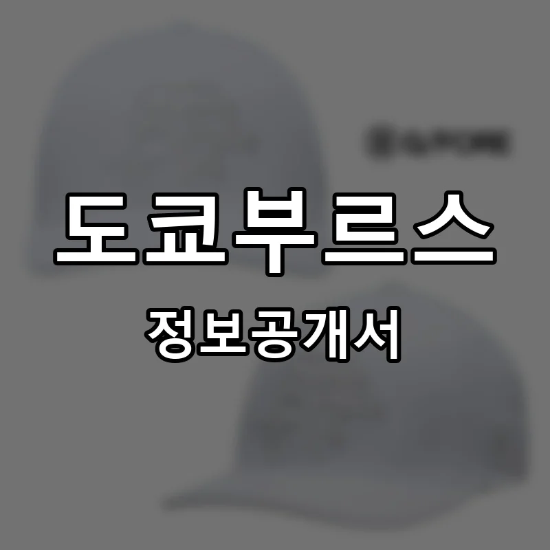 도쿄부르스 창업 프랜차이즈 정보공개서 요약 2026.05.22