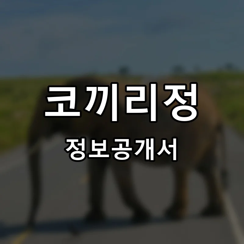 코끼리정 프랜차이즈 창업 비용 정보공개서 요약