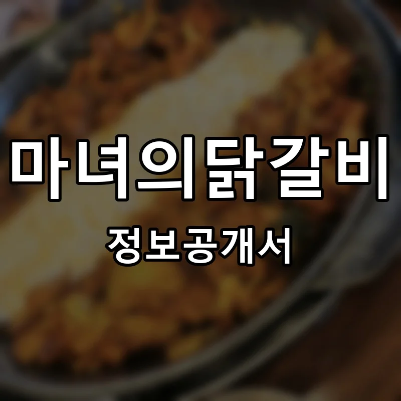 마녀의닭갈비 프랜차이즈 창업 비용 정보공개서 요약