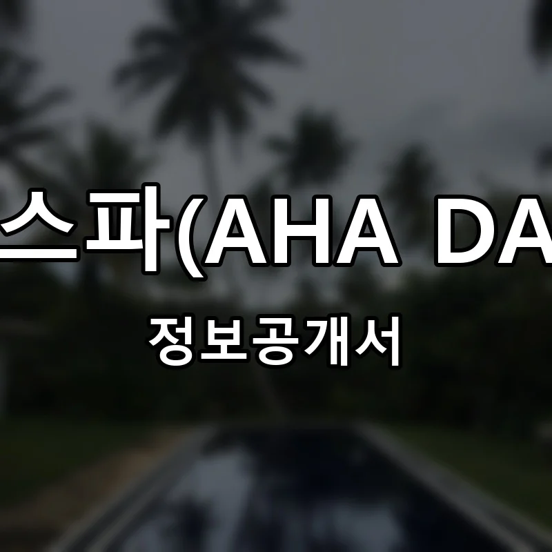 아하데이스파(AHA DAY S.P.A.) 프랜차이즈 창업 비용 정보공개서 요약
