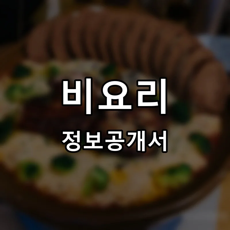 비요리 프랜차이즈 정보공개서