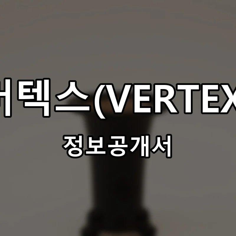 버텍스(VERTEX) 프랜차이즈 정보공개서