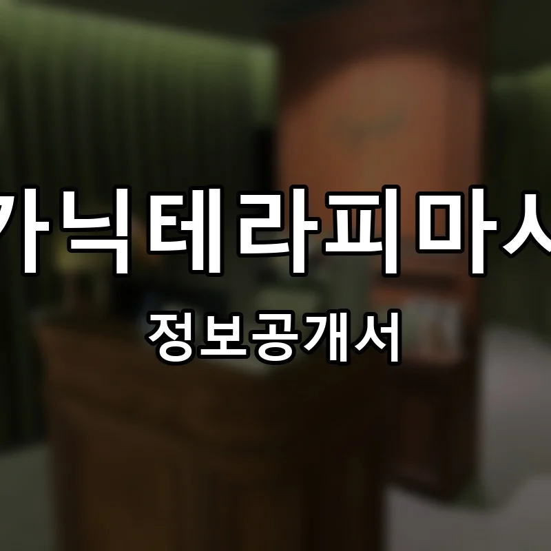 뉴가닉테라피마사지 프랜차이즈 창업 비용 정보공개서 요약