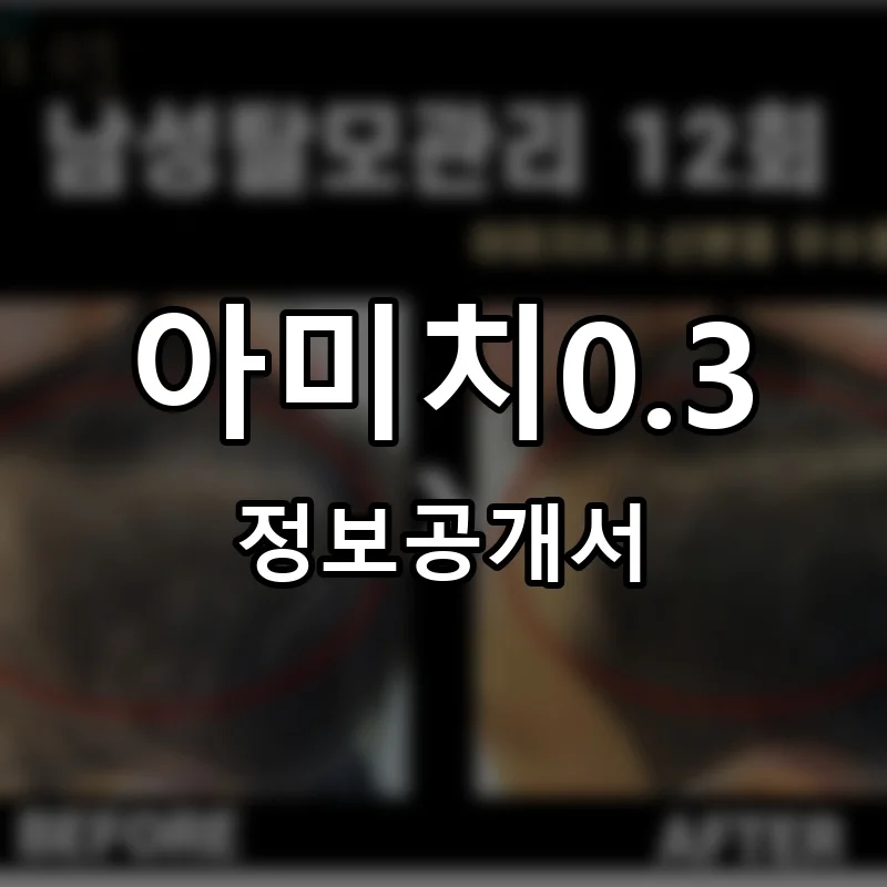 아미치0.3 프랜차이즈 창업 비용 정보공개서 요약