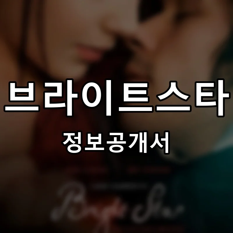 브라이트스타 프랜차이즈 창업 비용 정보공개서 요약