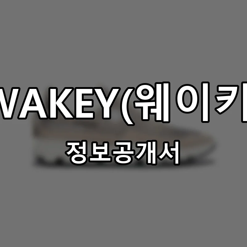 WAKEY(웨이키) 프랜차이즈 정보공개서