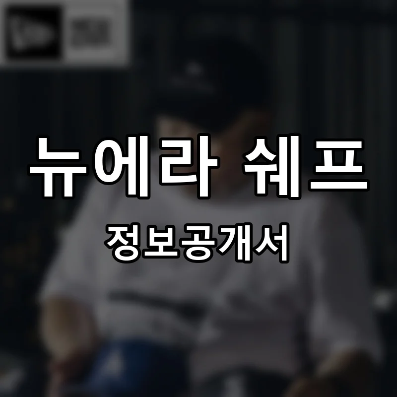 뉴에라 쉐프 프랜차이즈 창업 비용 정보공개서 요약