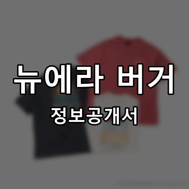 뉴에라 버거 프랜차이즈 창업 비용 정보공개서 요약