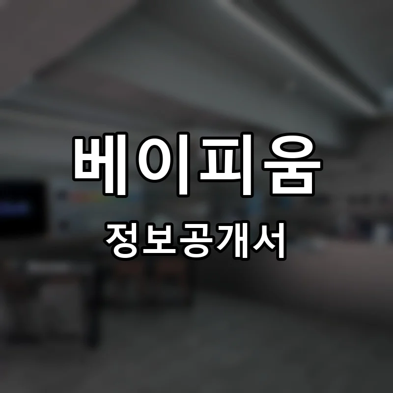 베이피움 프랜차이즈 창업 비용 정보공개서 요약