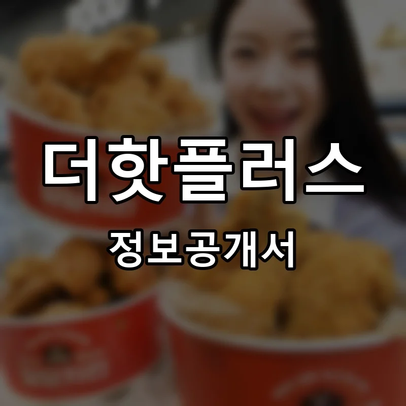 더핫플러스 프랜차이즈 창업 비용 정보공개서 요약