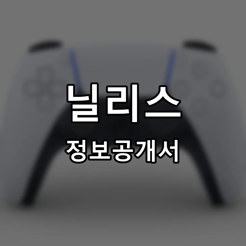 닐리스(Nilli’s) 창업 프랜차이즈 정보공개서 요약 2025.08.22